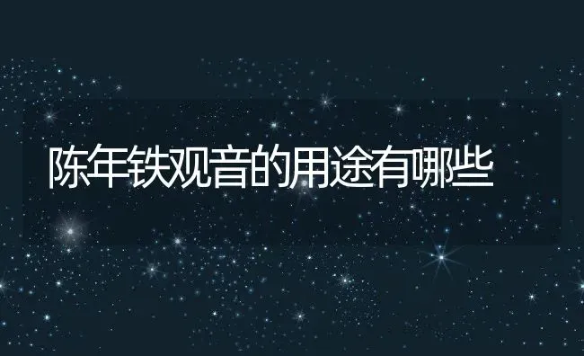 陈年铁观音的用途有哪些 | 养殖资料投稿