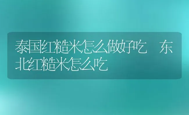 泰国红糙米怎么做好吃 东北红糙米怎么吃 | 养殖资讯