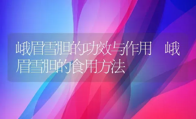 峨眉雪胆的功效与作用 峨眉雪胆的食用方法 | 养殖资料投稿