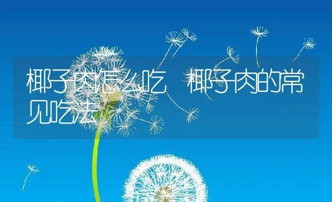 椰子肉怎么吃 椰子肉的常见吃法 | 养殖资料投稿