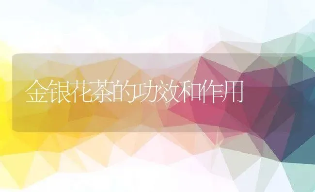 金银花茶的功效和作用 | 养殖资料投稿