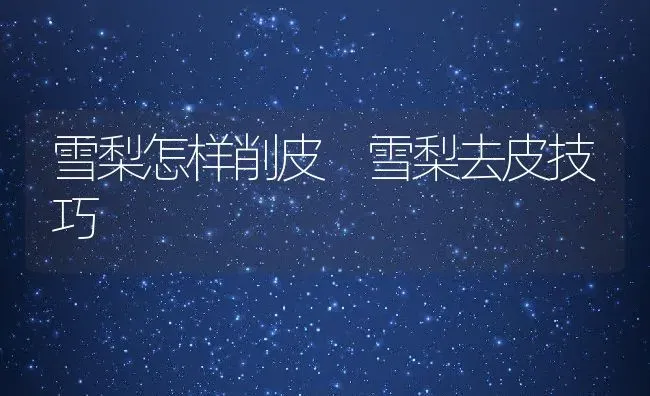 雪梨怎样削皮 雪梨去皮技巧 | 养殖资料投稿