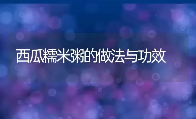 西瓜糯米粥的做法与功效 | 养殖资讯