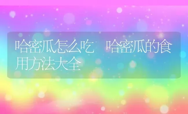 哈密瓜怎么吃 哈密瓜的食用方法大全 | 养殖资料投稿