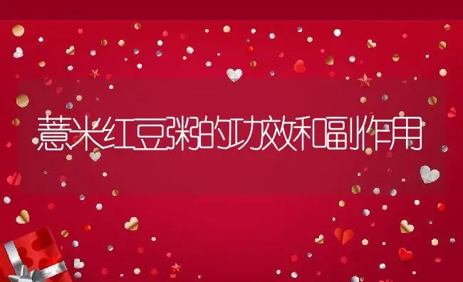 薏米红豆粥的功效和副作用 | 养殖资讯