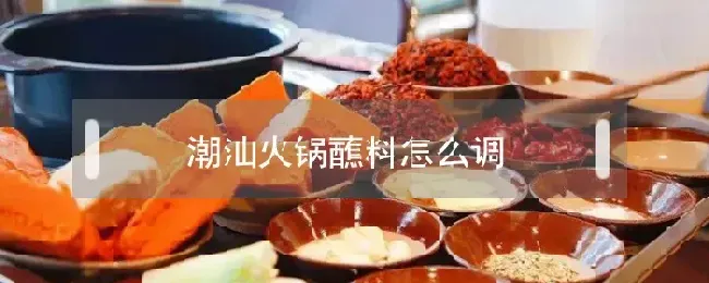 潮汕火锅蘸料怎么调