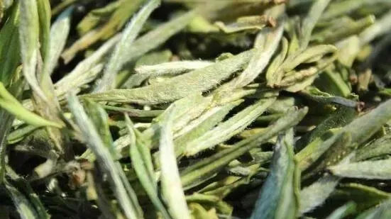 茶叶杀青和炒青的区别 茶叶的加工过程