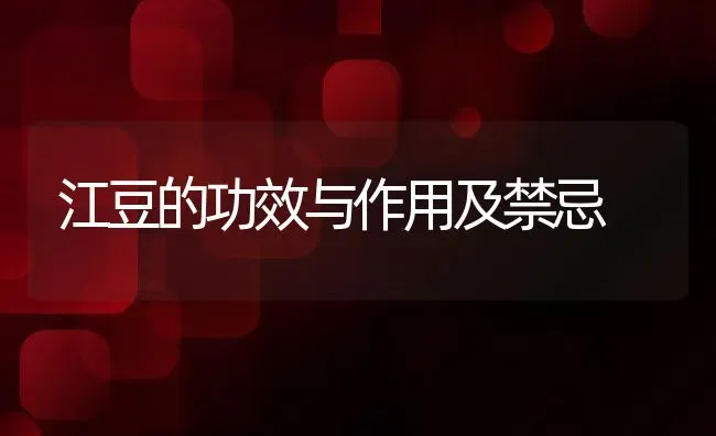 江豆的功效与作用及禁忌 | 养殖资料投稿