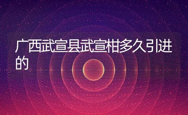 广西武宣县武宣柑多久引进的 | 养殖资讯