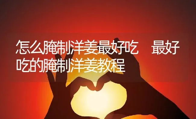 怎么腌制洋姜最好吃 最好吃的腌制洋姜教程 | 养殖资料投稿