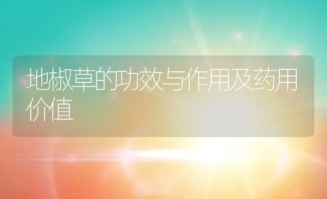 地椒草的功效与作用及药用价值 | 养殖资料投稿