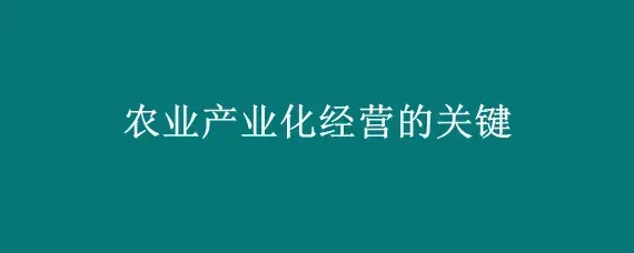 农业产业化经营的关键