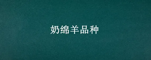 奶绵羊品种