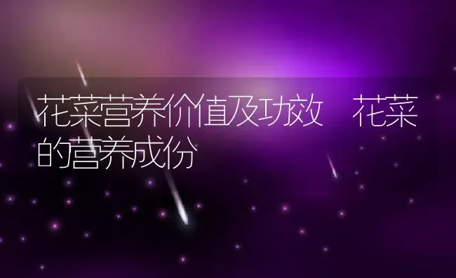 花菜营养价值及功效 花菜的营养成份 | 养殖资料投稿