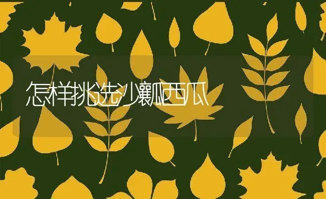 怎样挑选沙瓤西瓜 | 养殖资料投稿