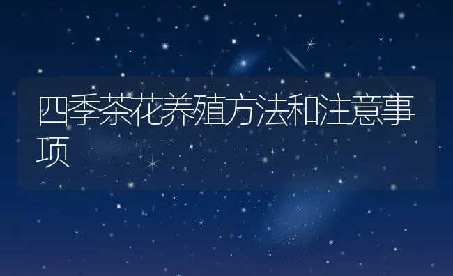 四季茶花养殖方法和注意事项 | 养殖资料投稿