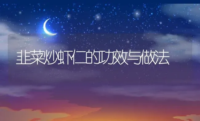 韭菜炒虾仁的功效与做法 | 养殖资料投稿