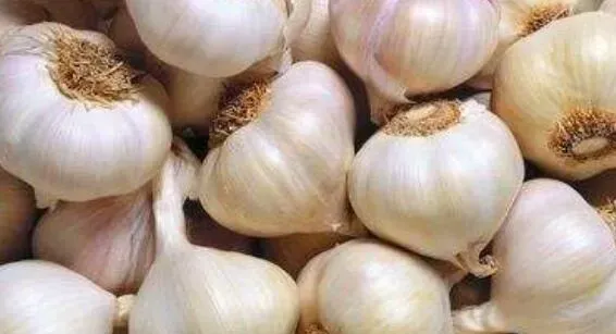 吃生蒜有什么好处 吃生蒜的功效与作用