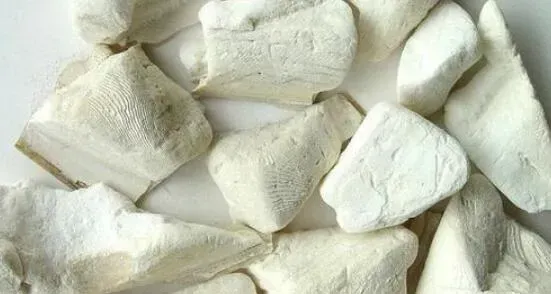 乌贼骨粉的功效与作用及禁忌