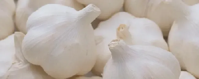 有机葱蒜类蔬菜病虫草综合防治技术？