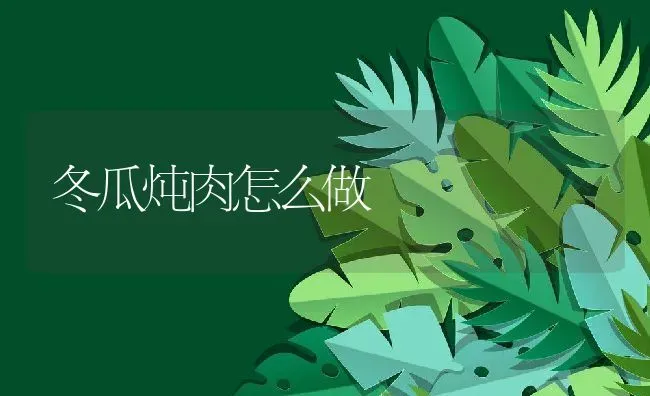 冬瓜炖肉怎么做 | 养殖资料投稿