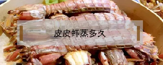 皮皮虾蒸多久