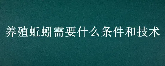 养殖蚯蚓需要什么条件和技术