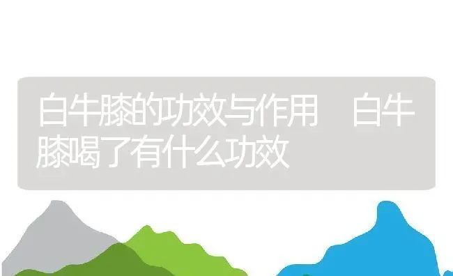 白牛膝的功效与作用 白牛膝喝了有什么功效 | 养殖资料投稿