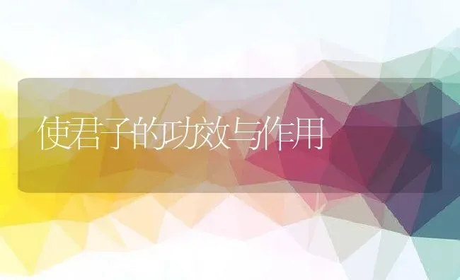 使君子的功效与作用 | 养殖资料投稿