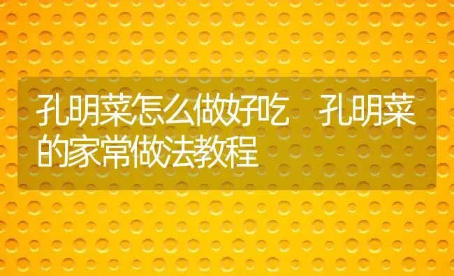 孔明菜怎么做好吃 孔明菜的家常做法教程 | 养殖资料投稿