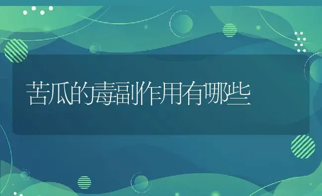 苦瓜的毒副作用有哪些 | 养殖资料投稿