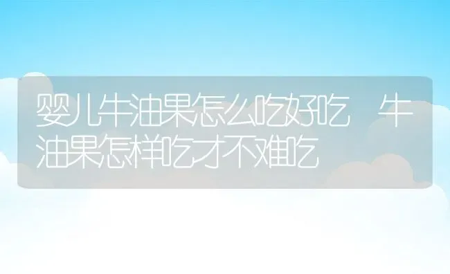 婴儿牛油果怎么吃好吃 牛油果怎样吃才不难吃 | 养殖资料投稿