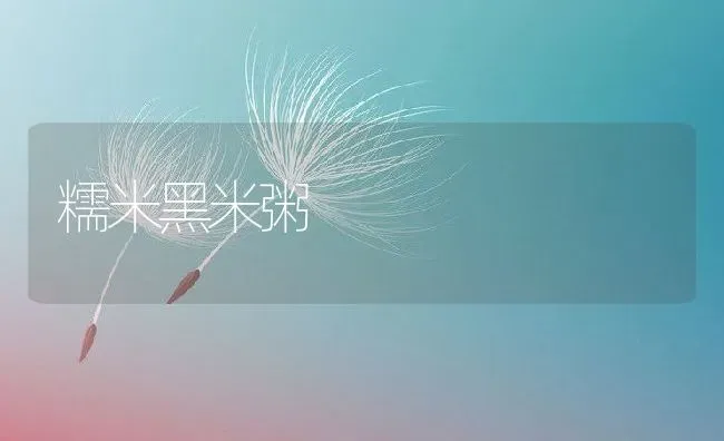糯米黑米粥 | 养殖资讯