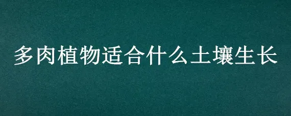 多肉植物适合什么土壤生长