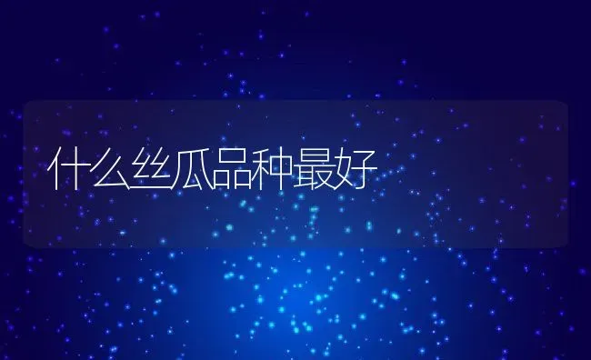 什么丝瓜品种最好 | 养殖资料投稿