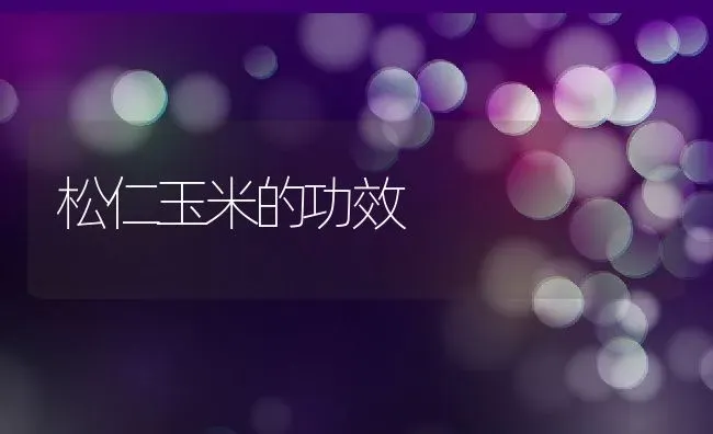 松仁玉米的功效 | 养殖资料投稿