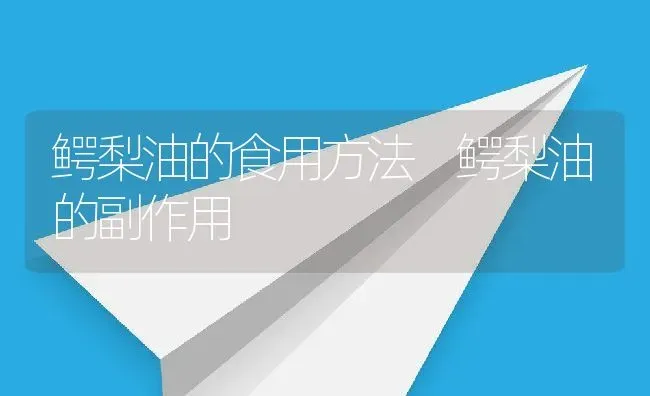 鳄梨油的食用方法 鳄梨油的副作用 | 养殖资料投稿