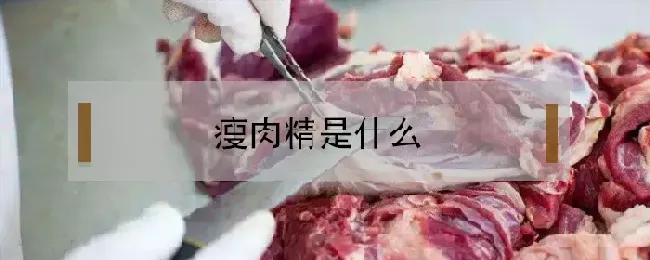 瘦肉精是什么