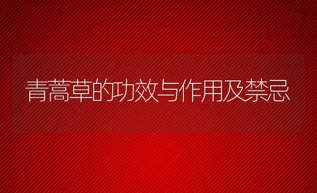 青蒿草的功效与作用及禁忌 | 养殖资料投稿