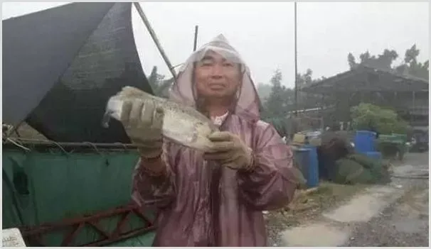 养鱼年入百万！他从“水上人家”变身养鱼行家！ | 热门养殖项目