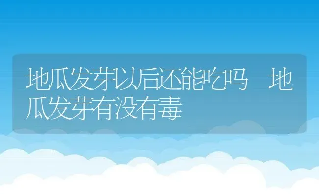 地瓜发芽以后还能吃吗 地瓜发芽有没有毒 | 养殖资料投稿