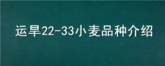 运旱22-33小麦品种介绍