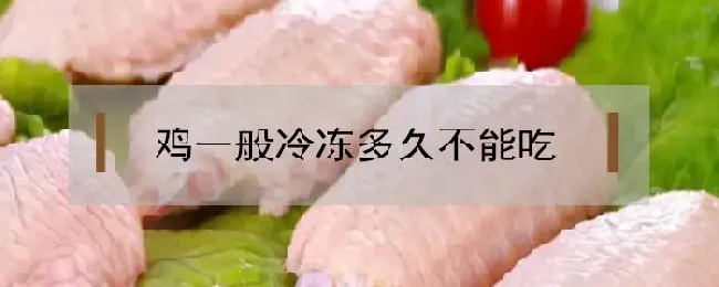 鸡一般冷冻多久不能吃