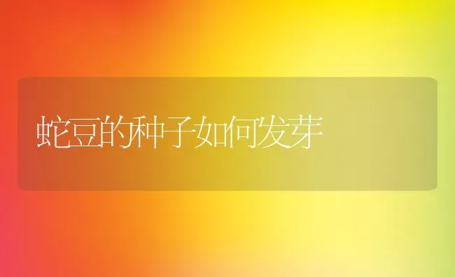 蛇豆的种子如何发芽 | 养殖资料投稿