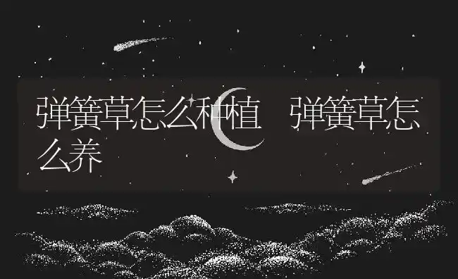 弹簧草怎么种植 弹簧草怎么养 | 养殖资料投稿