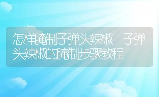 怎样腌制子弹头辣椒 子弹头辣椒的腌制步骤教程 | 养殖资料投稿