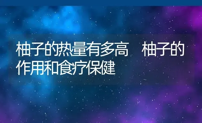 柚子的热量有多高 柚子的作用和食疗保健 | 养殖资料投稿