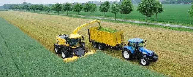 农业属于第几产业农业的作用