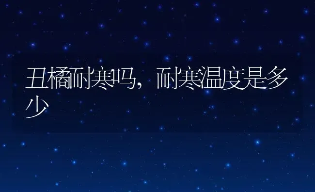 丑橘耐寒吗,耐寒温度是多少 | 养殖资讯