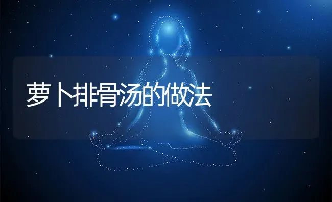 萝卜排骨汤的做法 | 养殖资料投稿